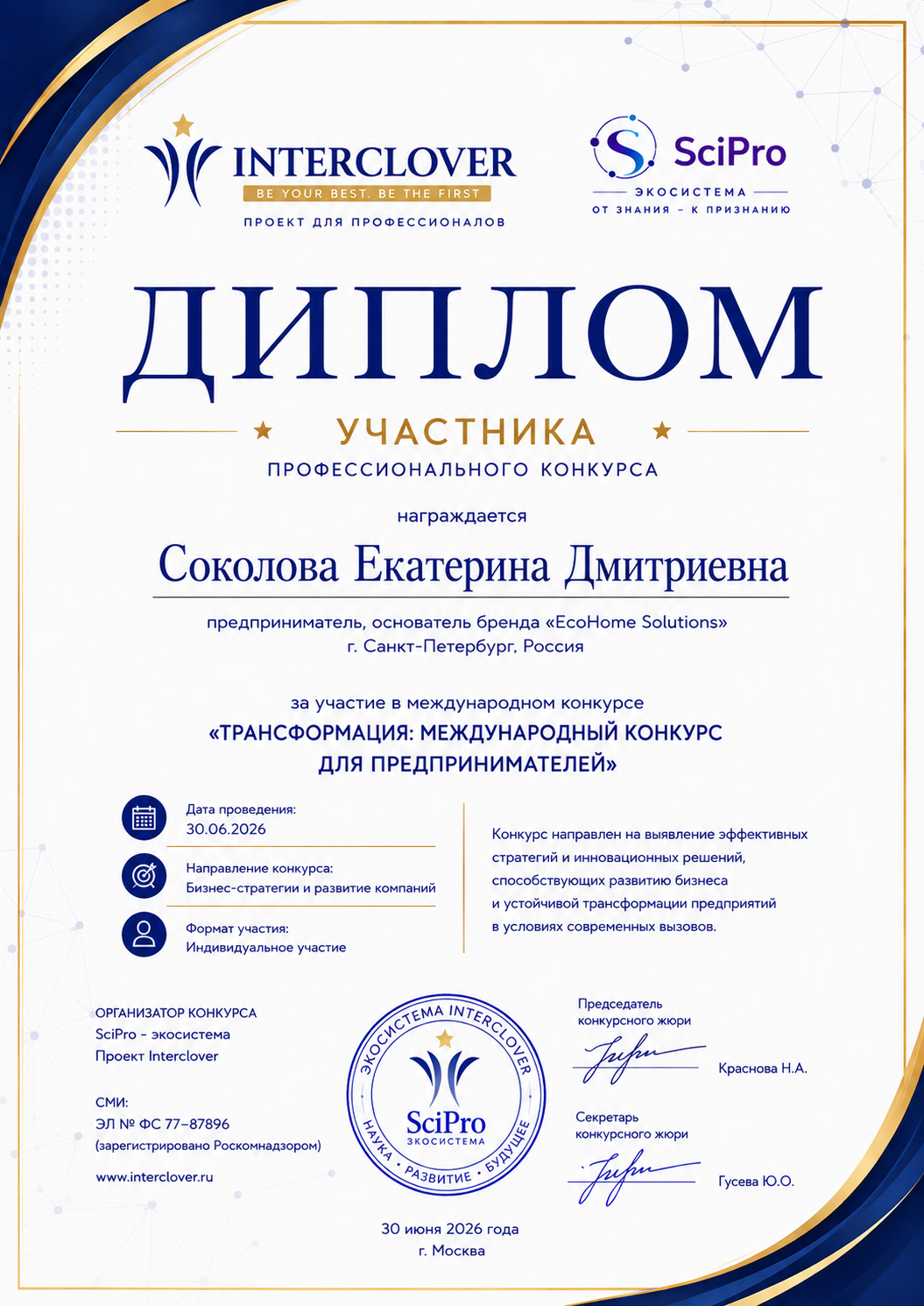 Диплом профессионала